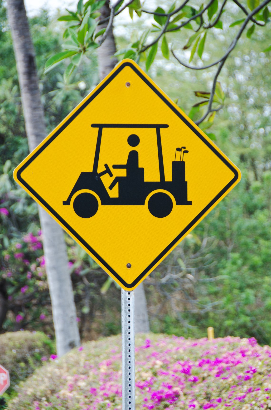 Golf Cart Sign